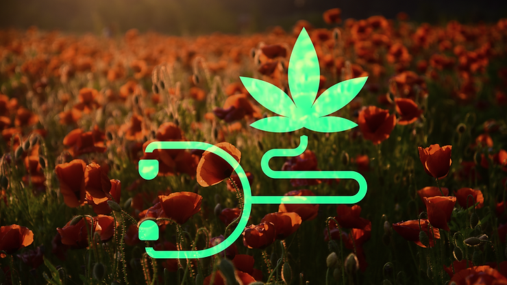 MEDICAL CANNABIS AND VETERANS: AN ALTERNATIVE SOLUTION