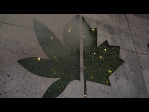 The Ultimate CanGame, 420 party card game by canempire, www.canempire.ca